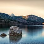 Stein im Alpsee