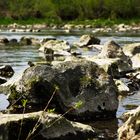 Stein im Fluss