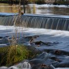 Stein im Fluss und kleiner Wasserfall