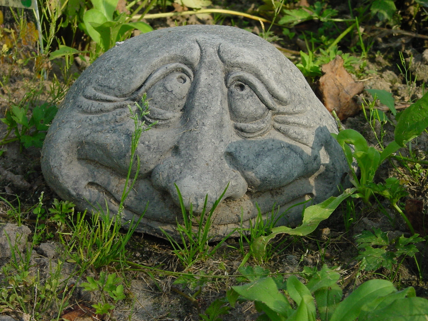 Stein im Garten