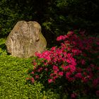 Stein im Licht