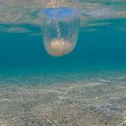 Stein im Meer