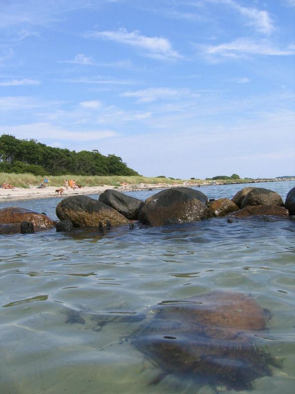 Stein im Meer