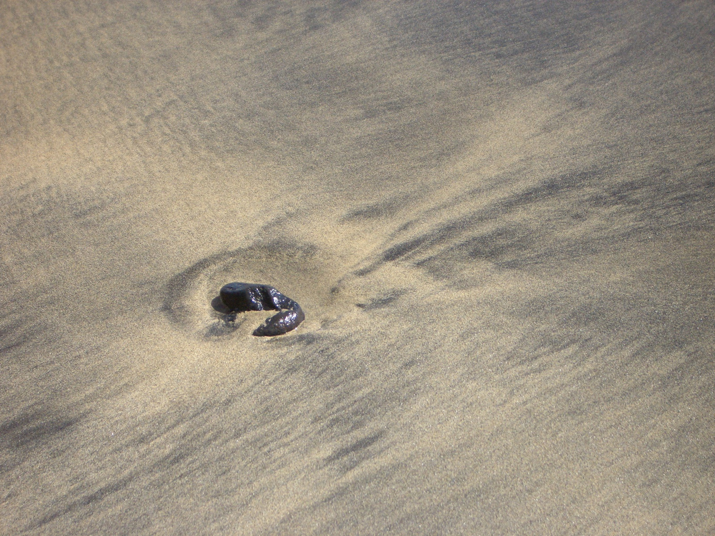 Stein im Sand