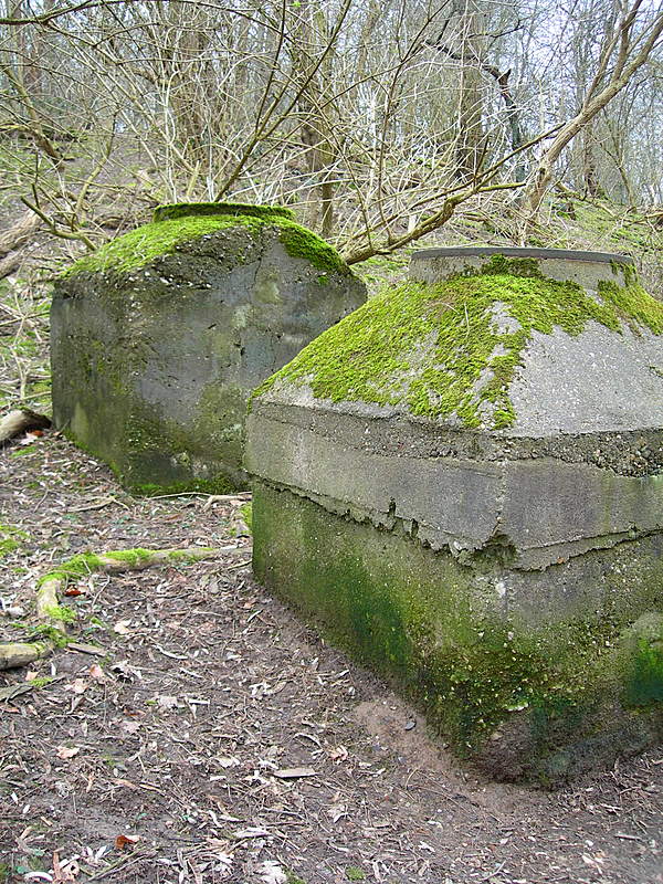 Stein im Wald