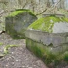 Stein im Wald