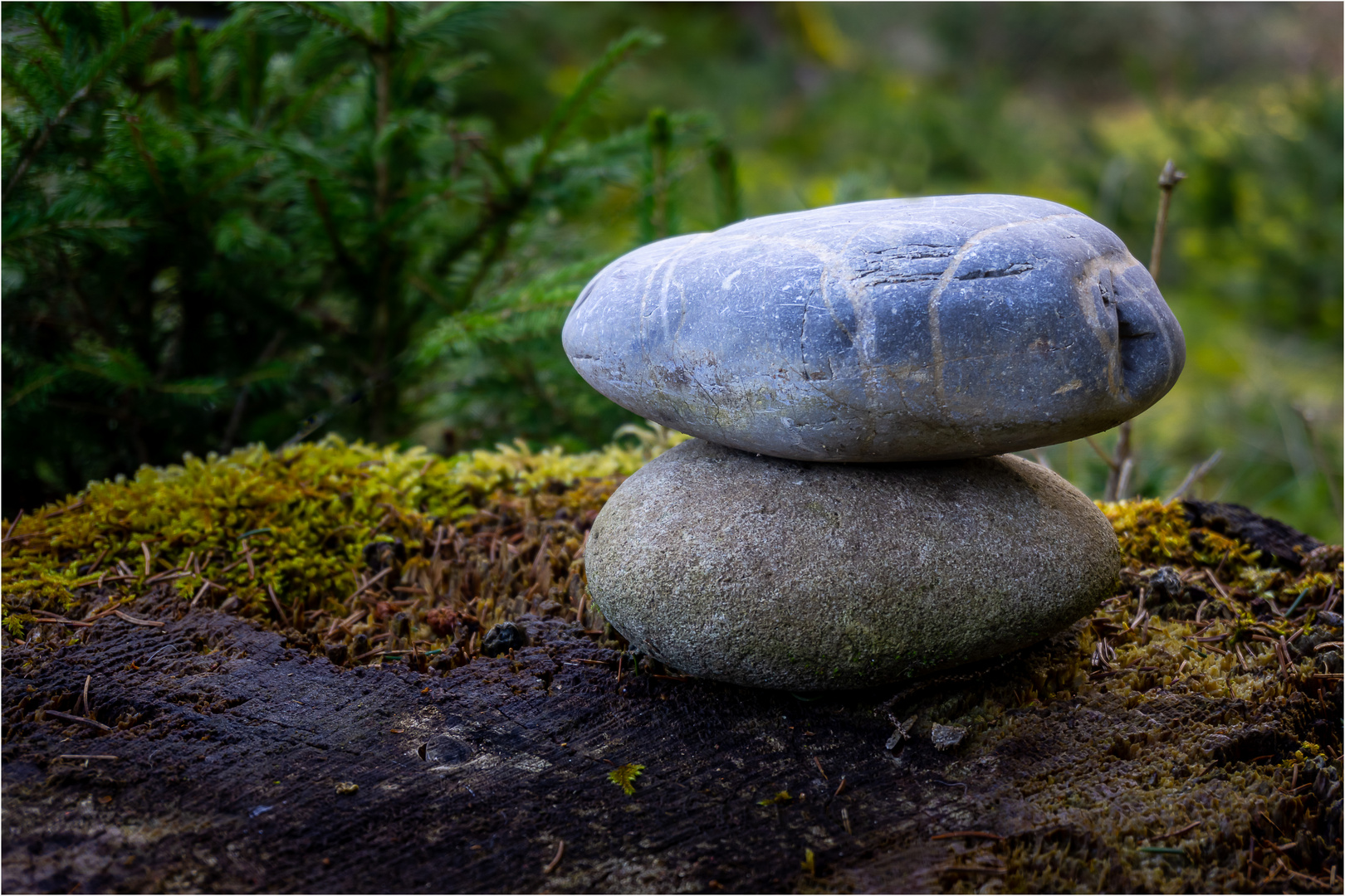 Stein im Wald Foto & Bild landschaft, wald, natur Bilder auf