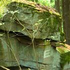 Stein im Wald - sinnlos! 