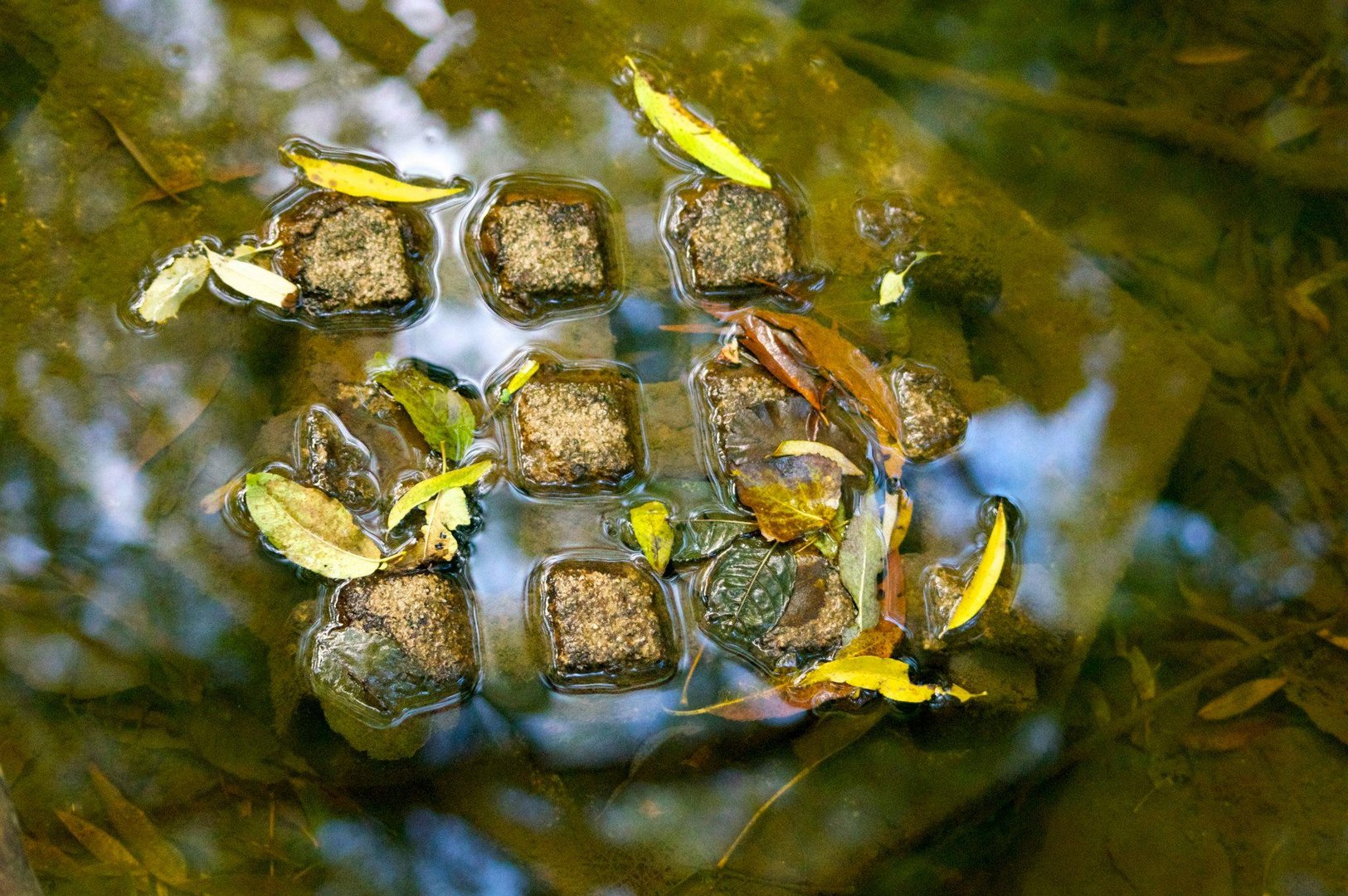 Stein im Wasser