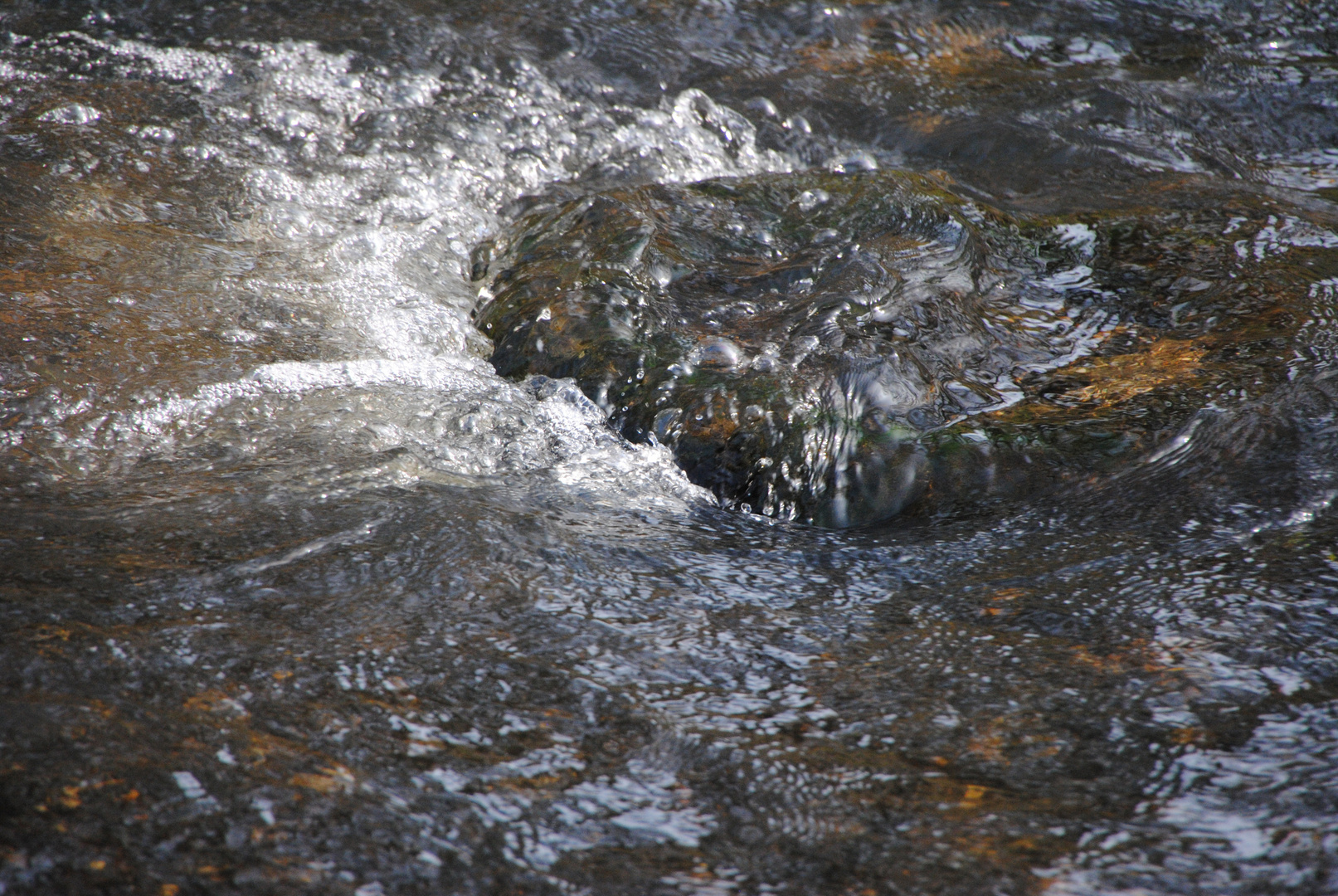 Stein im Wasser