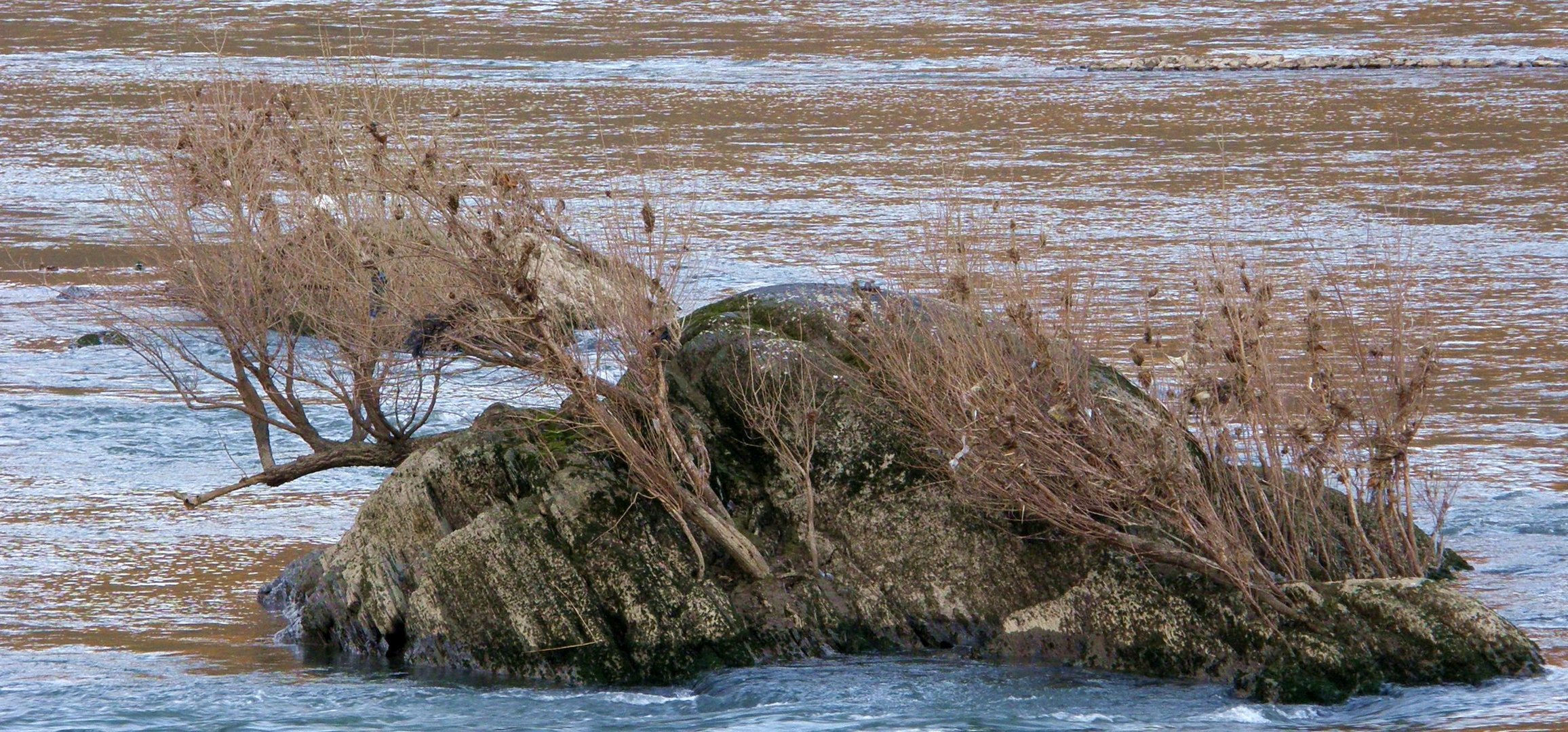 Stein im Wasser