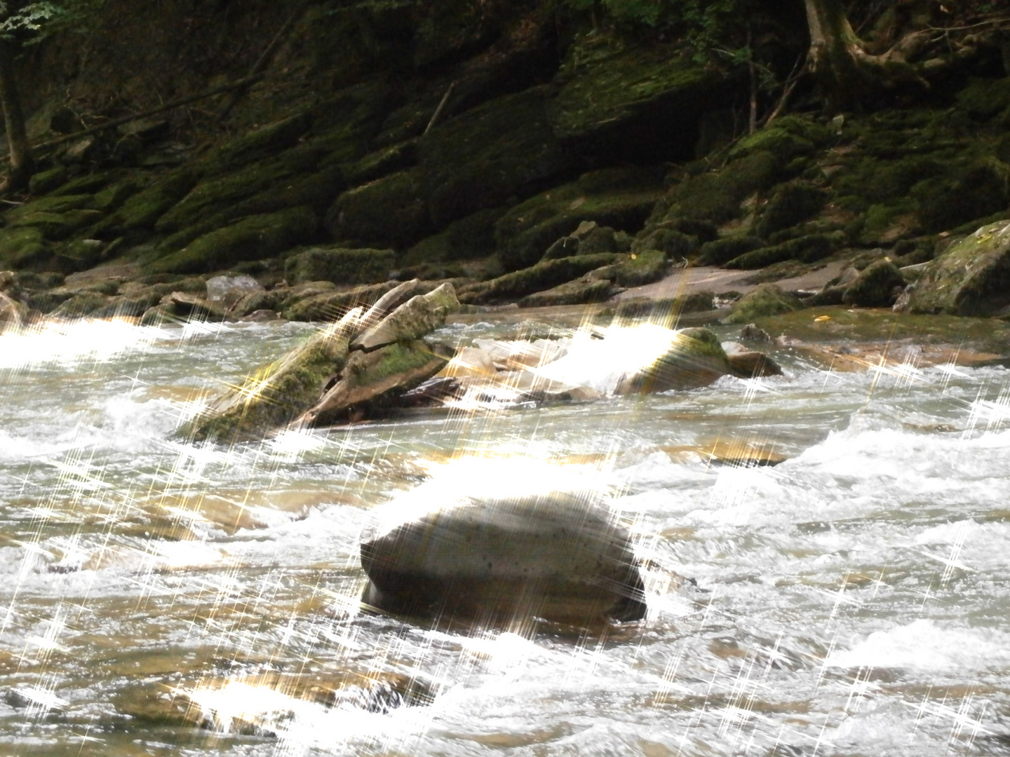 stein im wasser