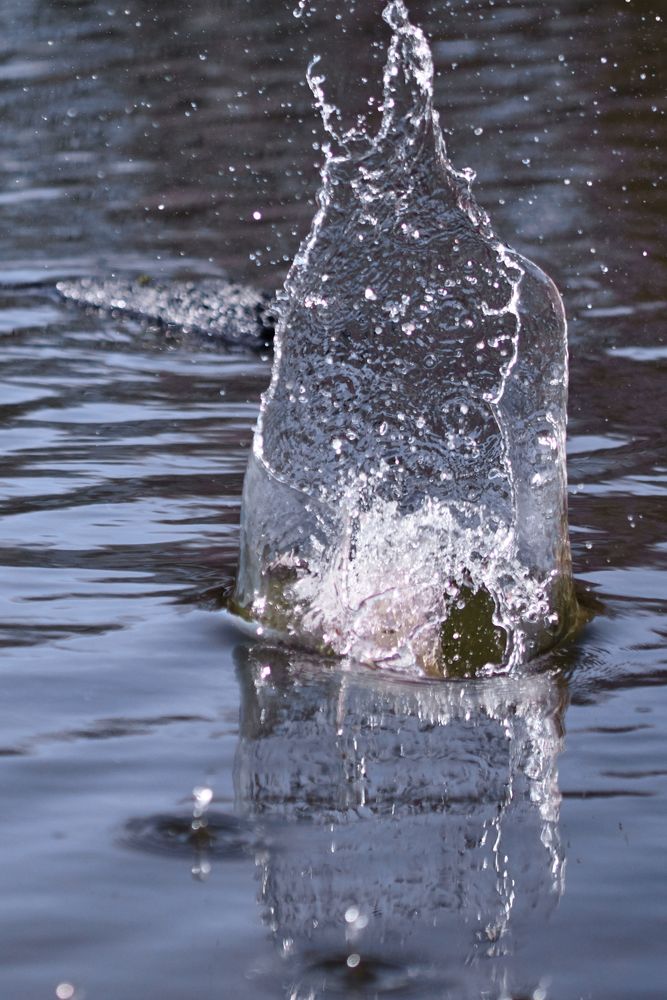 Stein im Wasser