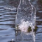 Stein im Wasser