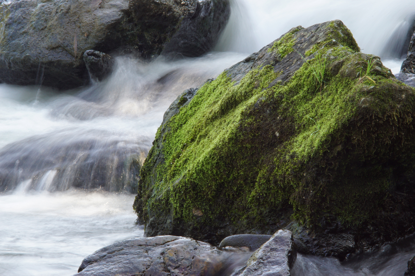 STEIN im Wasser