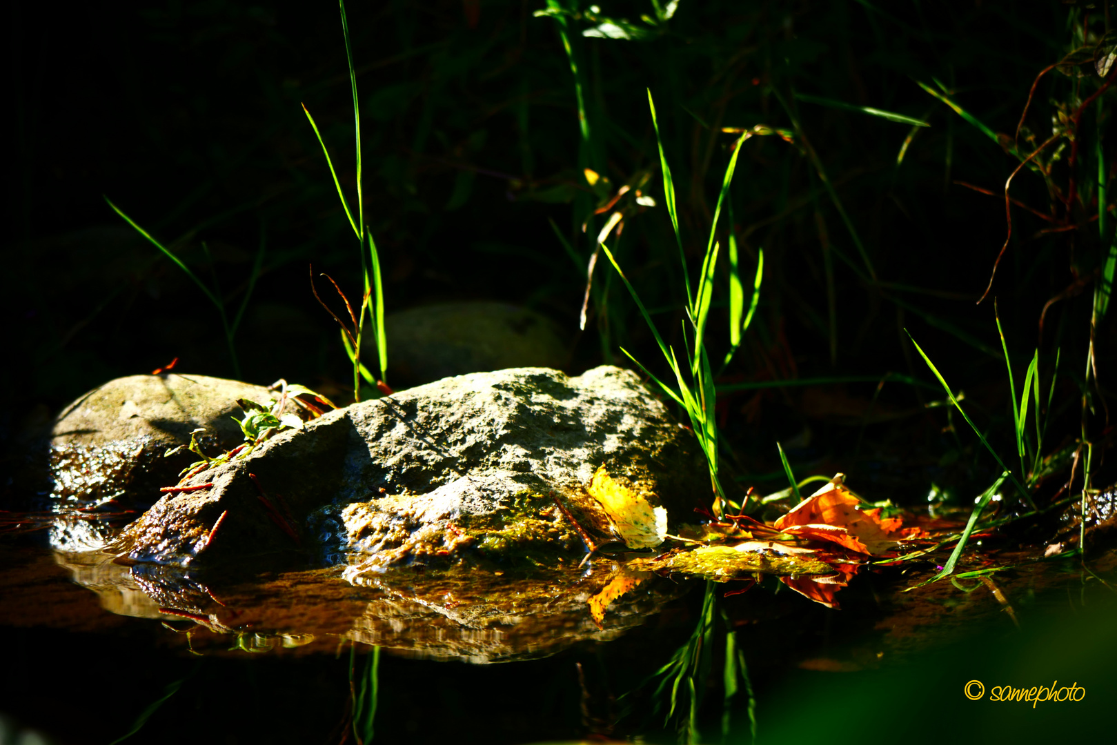 Stein im Wasser