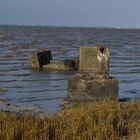 stein im wasser