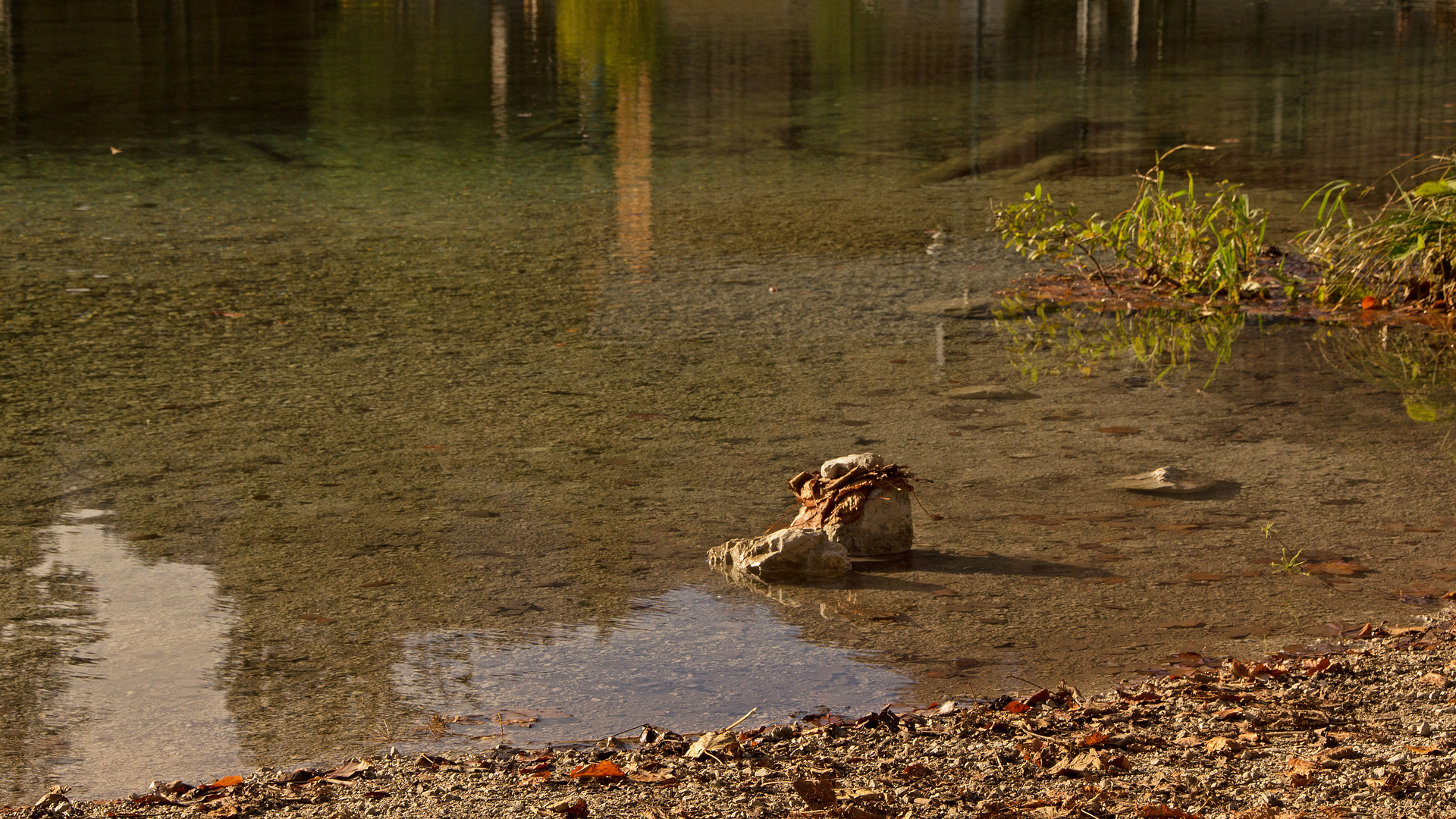 Stein im Wasser