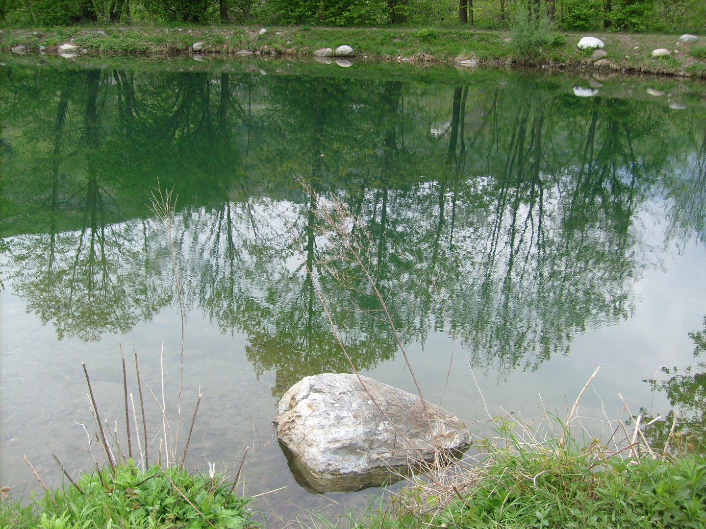 Stein im Wasser