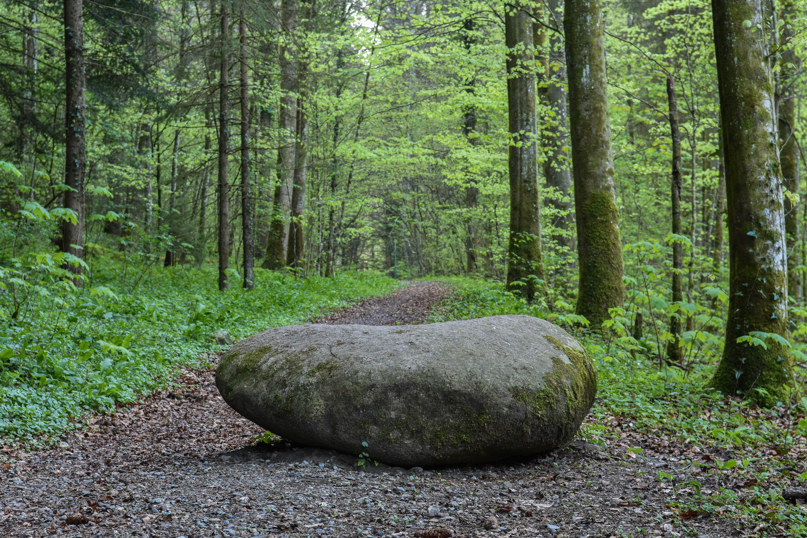 Stein im Weg