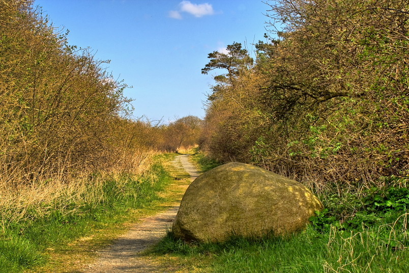 Stein im Weg