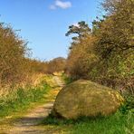 Stein im Weg