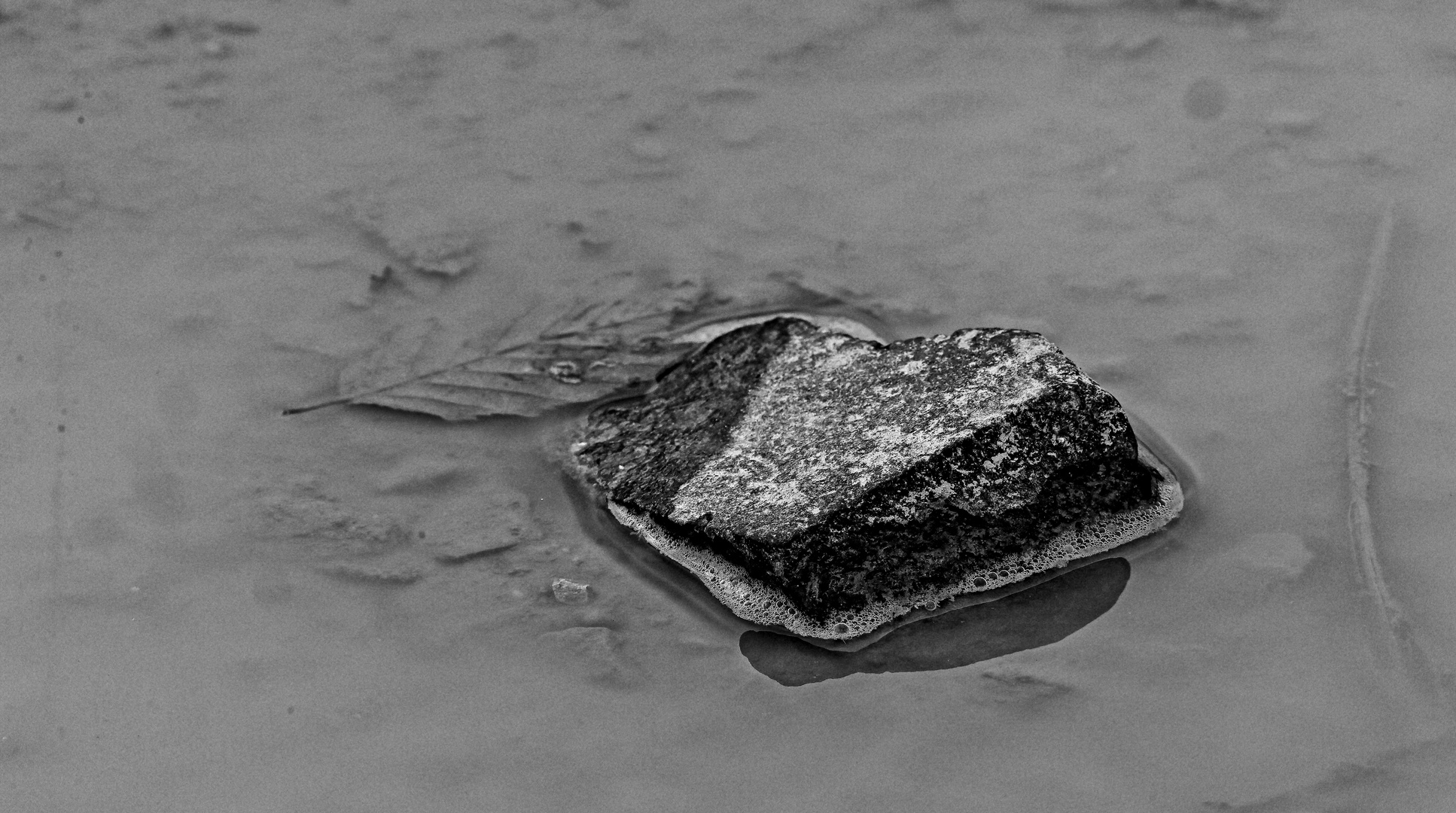 Stein in Pfütze -monochrome-