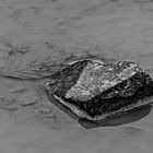 Stein in Pfütze -monochrome-