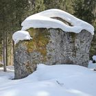 Stein mit Haube in Südtirol