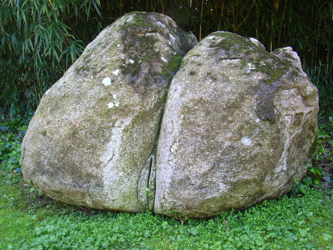 Stein, Po und Blümchen