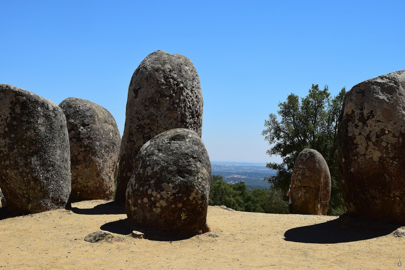 Stein Tonnen   --   Menhir Oval ©DSC_3120