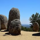 Stein Tonnen   --   Menhir Oval ©DSC_3120