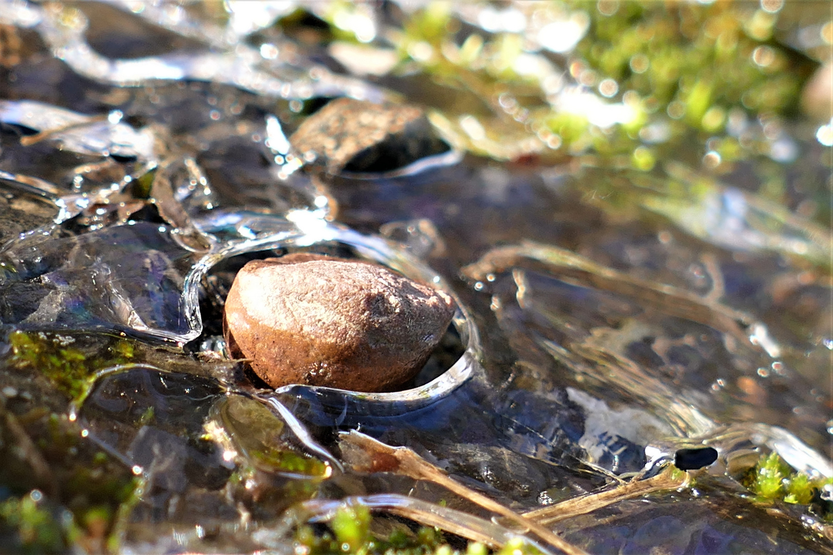 Stein und Bein gefroren