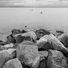 Stein und Meer