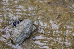 Stein und Wasser