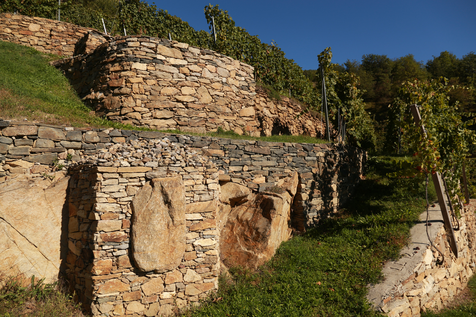 Stein und Wein