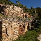 Stein und Wein