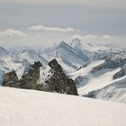 Stein Vogel * Zillertaler Alpen