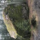 Stein von Rohuneeme in Estland
