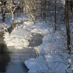 Steinach im Winterkleid