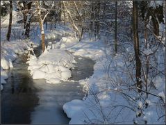 Steinach im Winterkleid