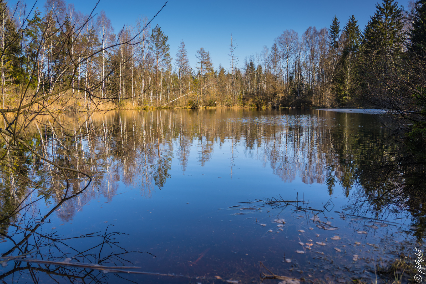 Steinacher Ried