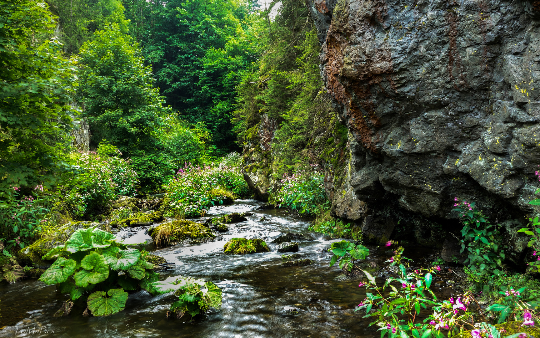 Steinachklamm