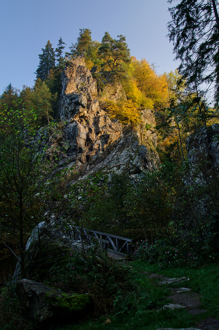 Steinachklamm im Herbst