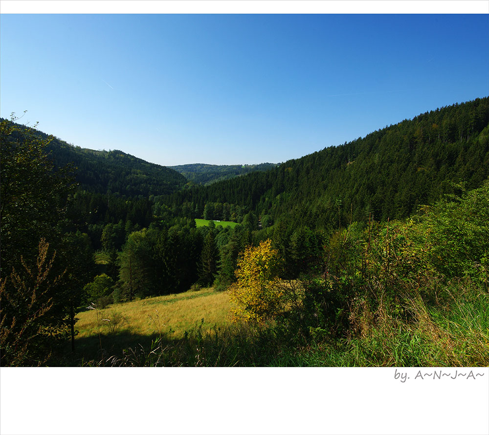 * Steinachtal- blick ...*