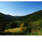 * Steinachtal- blick ...*