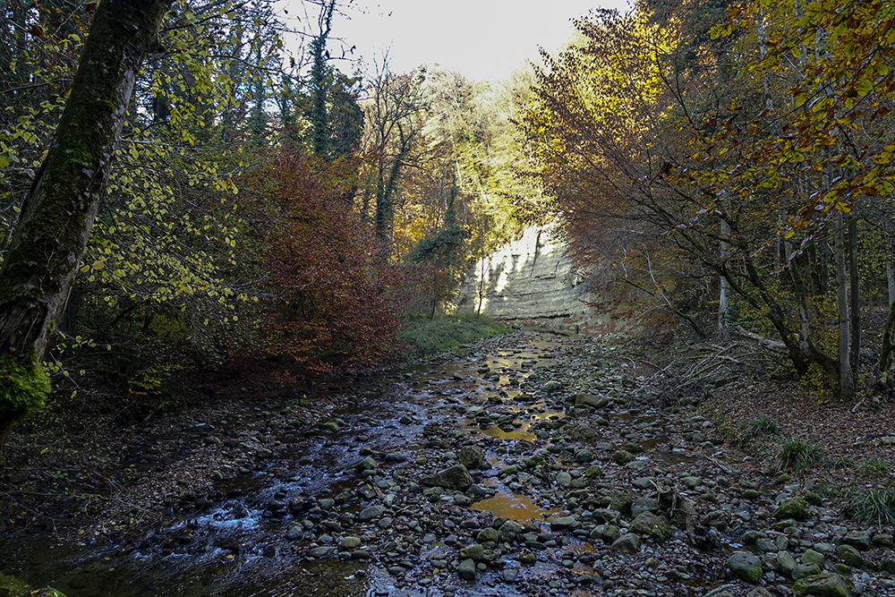 Steinachtobel