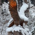 Steinadler - eingeschneit