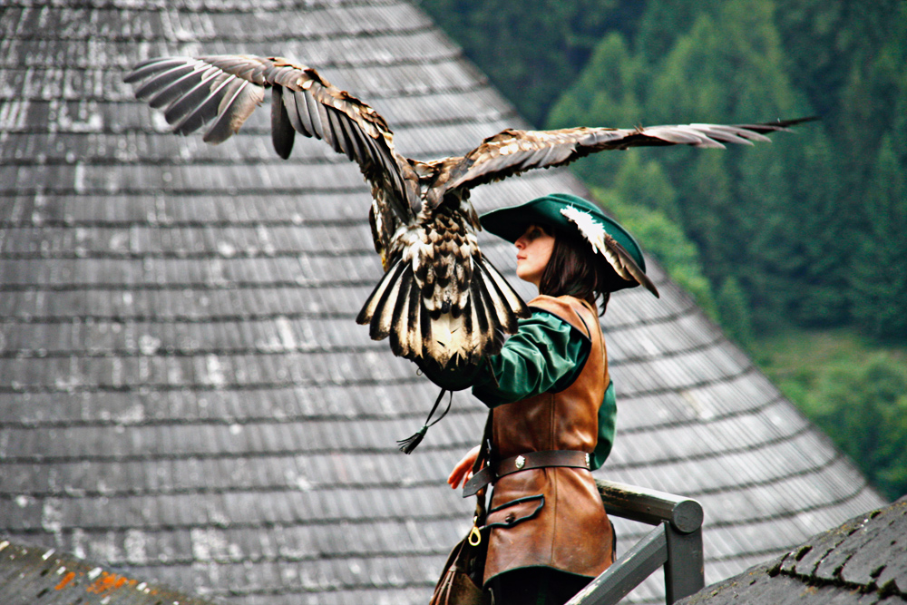 Steinadler und Falknerin II