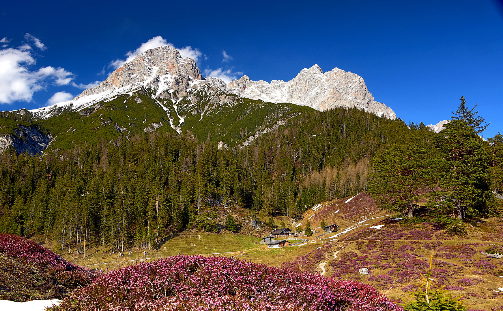 Steinalm